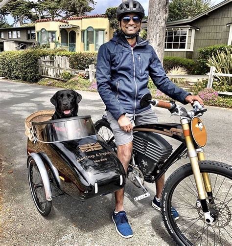 Electric Bike With Dog Sidecar